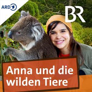 Anna und die wilden Tiere  Zusammenfassung