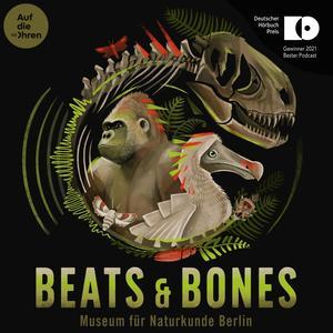 Beats & Bones Zusammenfassung