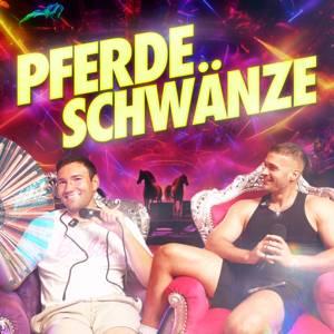 Pferdeschwänze Zusammenfassung