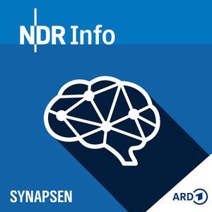 Synapsen – ein Wissenschaftspodcast  Zusammenfassung